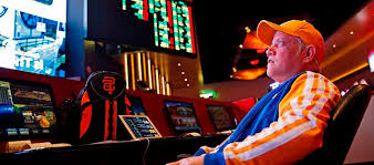 Официальный сайт AVOCADO CASINO